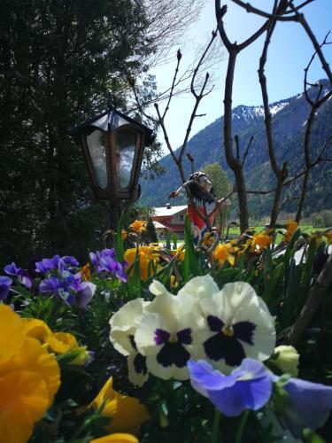 Foto de los servicios de DEVA Hotel Alpenhof