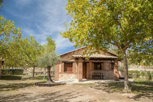 Foto del entorno de Bungalows Las Cañadas