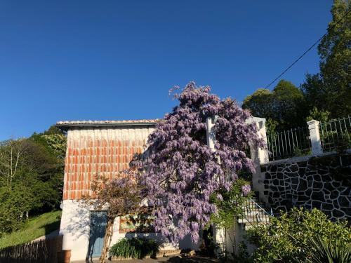 Foto del entorno de Casas y chalets La Casita Del Castañar