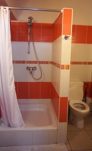 Foto del baño de Aparthotel Résidence Bara Midi
