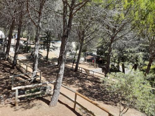 Foto general de Camping TajoRodillo