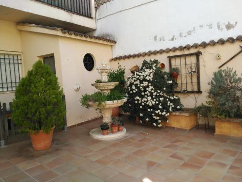 Foto del exterior de Apartamentos Valle del Guadalquivir