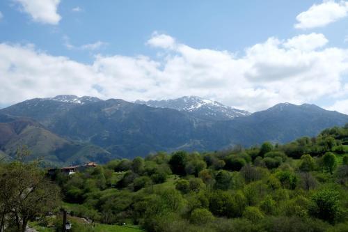 Surrounding area – La Terraza de Picos
