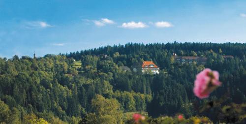 Foto del entorno de Hotel Teuchelwald