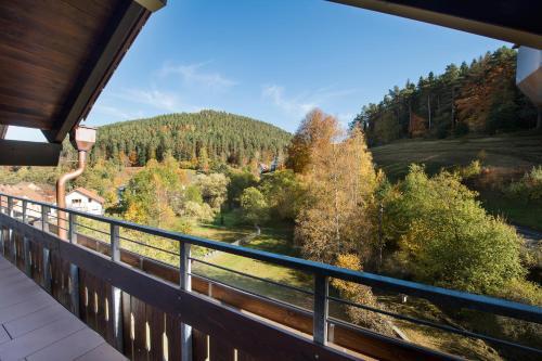 Foto del entorno de Hotel Schwarzwaldhof