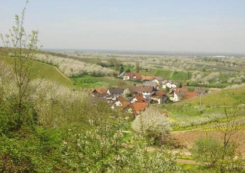 Foto general de Hotel-Gasthof Rose