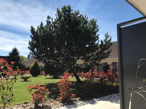 Foto del entorno de Hôtel Le Clos Badan