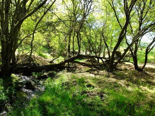 Foto general de Casa Rural La Sierra de Monfragüe