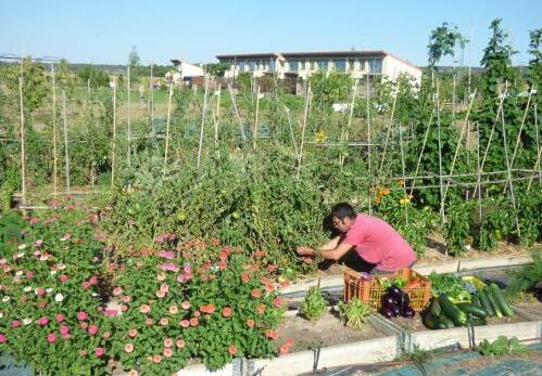 Foto de los servicios de Hotel Rural Bioclimático Sabinares del Arlanza