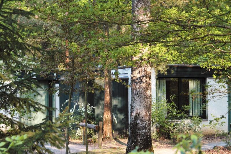 Foto general de Camping Center Parcs Les Bois-Francs