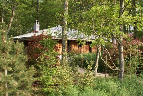 Foto del exterior de Camping Center Parcs Les Bois-Francs