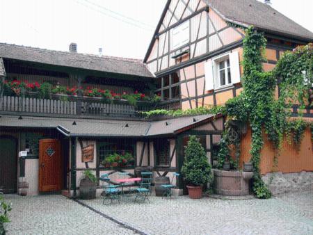 Foto del entorno de Apartamentos Gite Du Vigneron