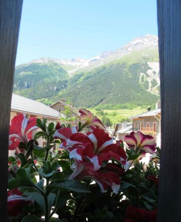 Foto del entorno de Auberge La Turra