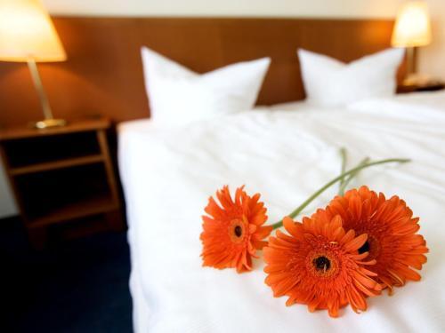 Foto de una habitación de Ahorn Waldhotel Altenberg