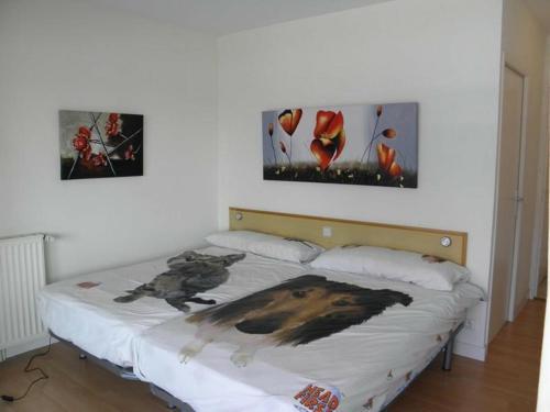 Foto general de Appartement Hendaye, 2 pièces, 4 personnes - FR-1-2-281