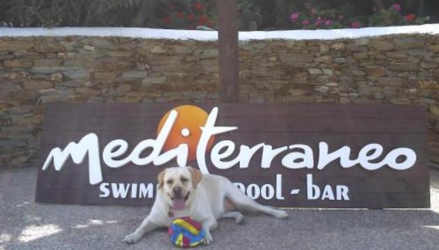 Foto de Hotel Mediterraneo
