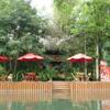 Foto de Hotel Kangaroo Rio Dulce