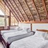 Foto de Hotel Selina Amazon Tena