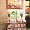 Foto de Bed-and-Breakfast Xemx