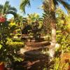 Foto de Hotel Quinta Comala