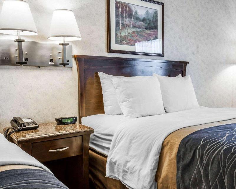 Foto de una habitación de Hotel Comfort Inn Bellingham