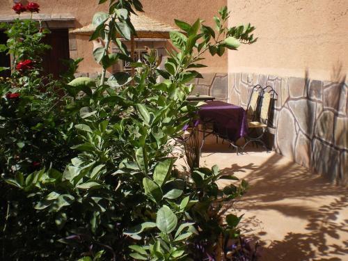 Room – Bed-and-Breakfast Maison D&amp;#039; hôtes Ait Hmid