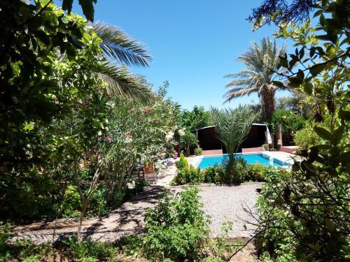 Foto del entorno de Bed-and-Breakfast Bassatine Skoura