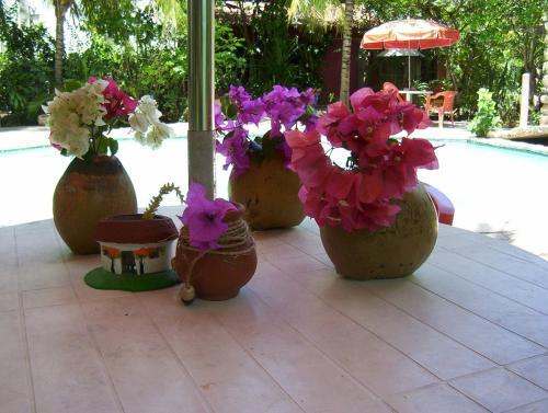 Foto general de Posada El Jardin