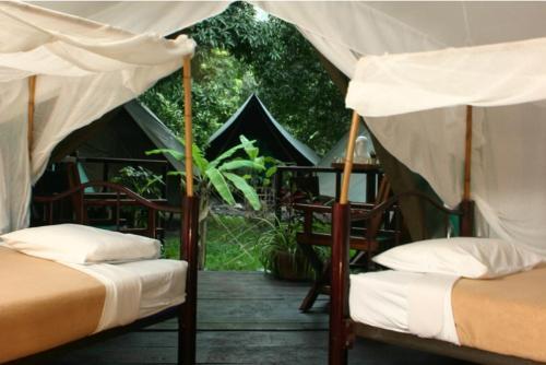 Foto de una habitación de Expediciones Mexico Verde
