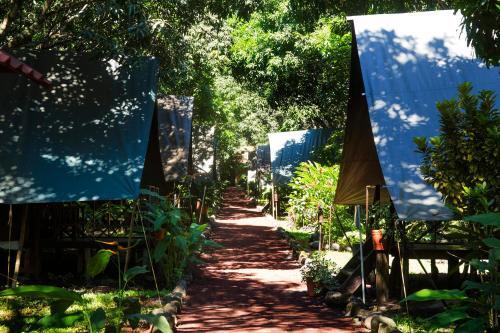 Foto del entorno de Expediciones Mexico Verde