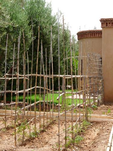 Foto general de Bed-and-Breakfast Manzil La Tortue