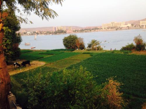 Foto del entorno de Albergue Nubian Holiday House Aswan