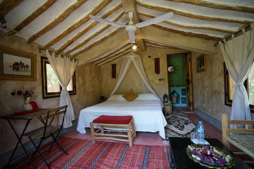 Room – Lodge Hara Oasis