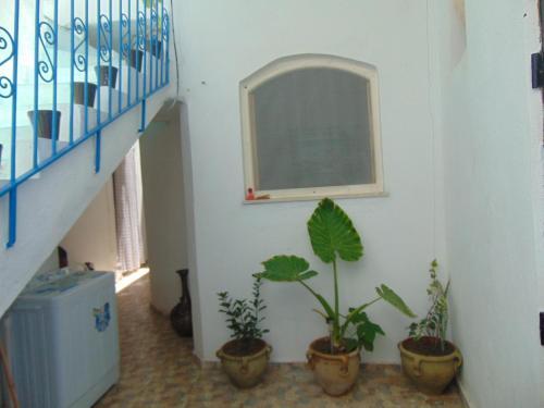 Foto del entorno de Douja Apartment