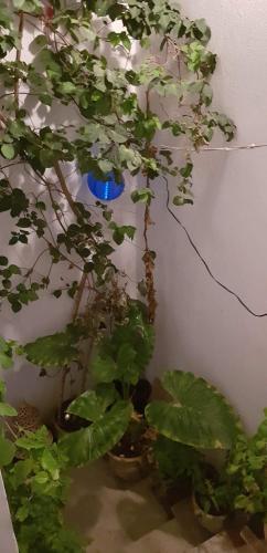 Foto de una habitación de Douja Apartment