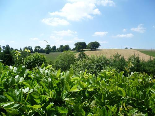 Foto del entorno de Bed-and-Breakfast Diamond Hill Country House