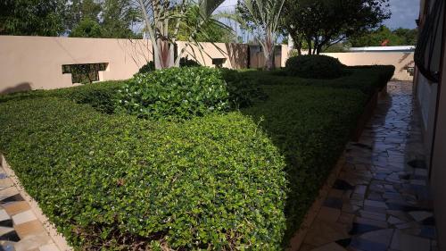 Foto del entorno de Apartamentos Nuevo Amanecer