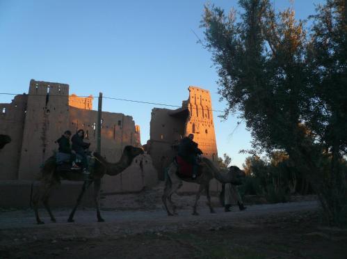 Foto de una habitación de Gite Kasbah La Palmeraie