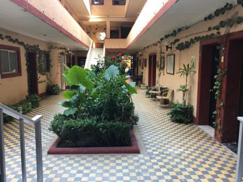 Foto de las zonas nobles de Hotel Gallo Rubio