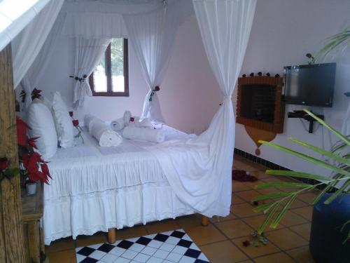 Foto de una habitación de Posada Los Alcatraces