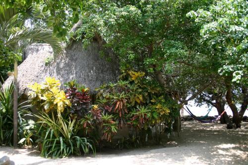 Foto del entorno de Junto al Rio Bungalows &amp;amp; Suites