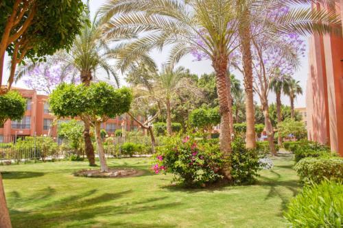 Foto del entorno de Complejo ZYA Palmera El Sokhna