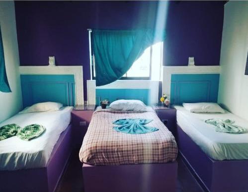 Foto de una habitación de Hotel Kevin