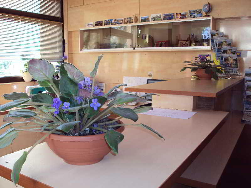 Foto general de Hotel Skradinski Buk