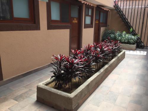 Exterior – Hotel San Agustin