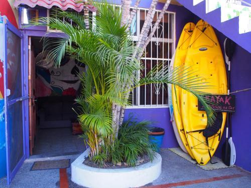 Foto general de Funky Monkey Hostel