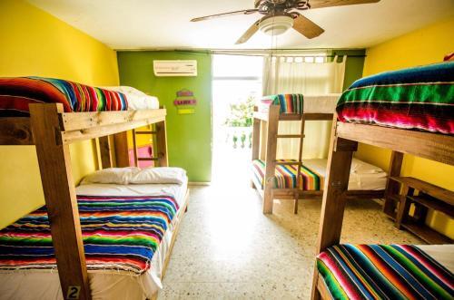 Foto de una habitación de Funky Monkey Hostel