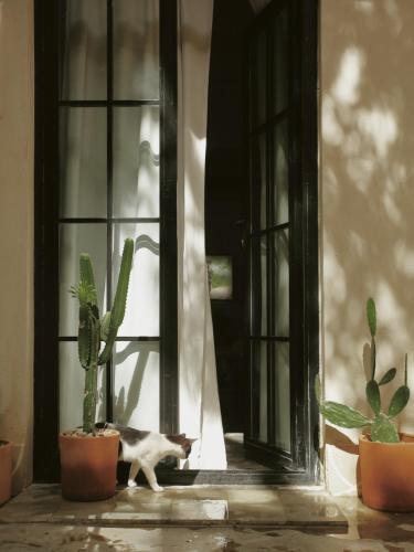 Foto de una habitación de Apartamentos FIXIE LOFTS