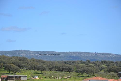 Foto del entorno de Apartamentos Rurales Natura