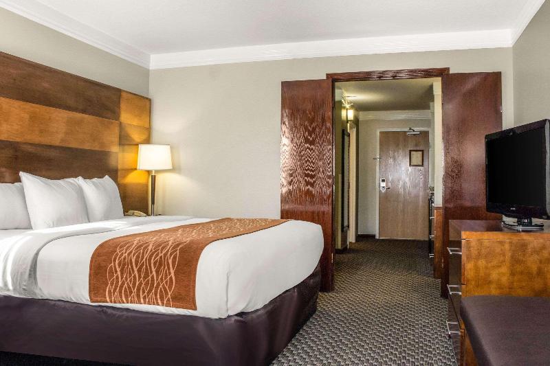 Foto de una habitación de Hotel Comfort Inn &amp;amp; Suites Durango